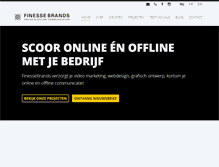 Tablet Screenshot of finessebrands.com